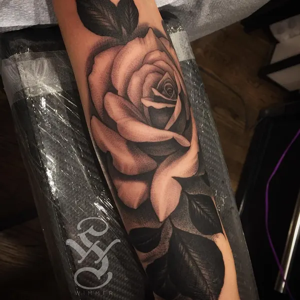 Flower, Rose