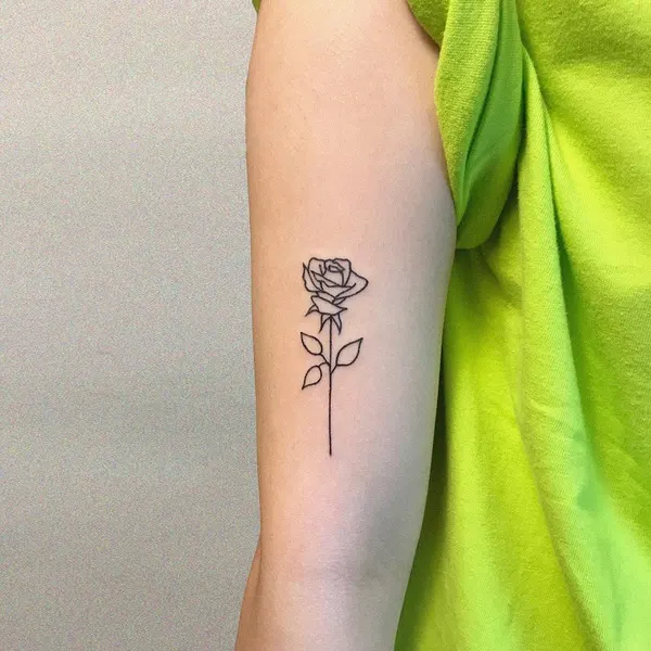 Flower, Rose