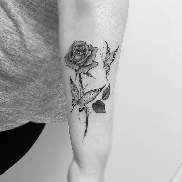 Flower, Rose