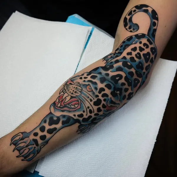 Animal, Tiger