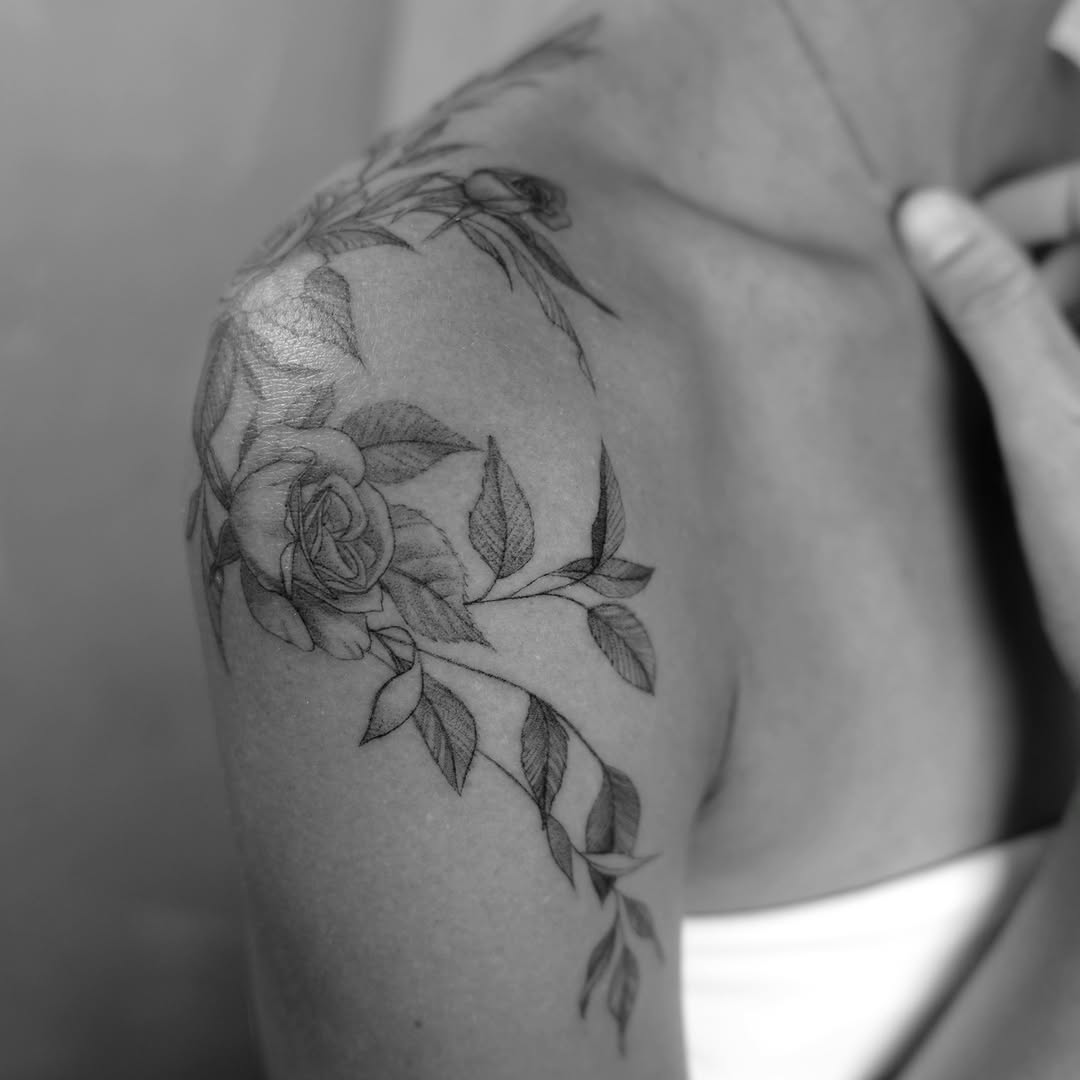 Flower, Rose, Nature