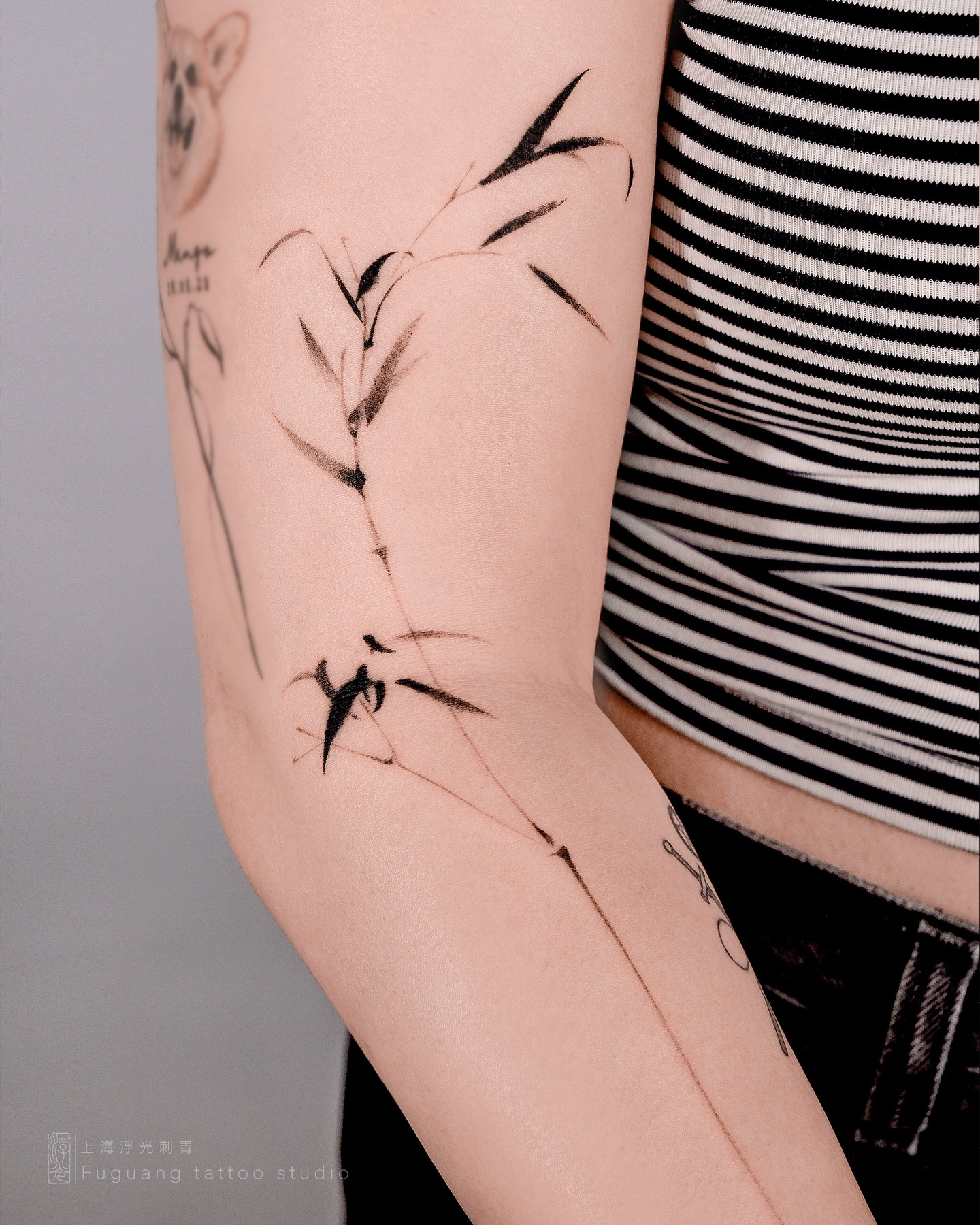 Rose, Flower
