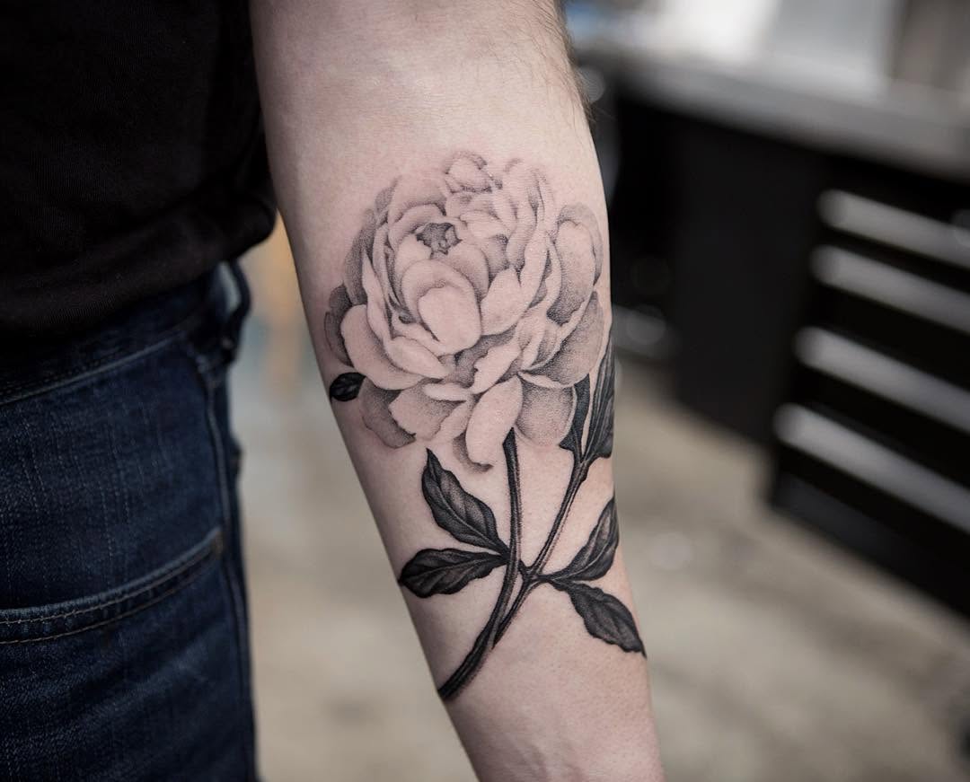 Flower, Rose