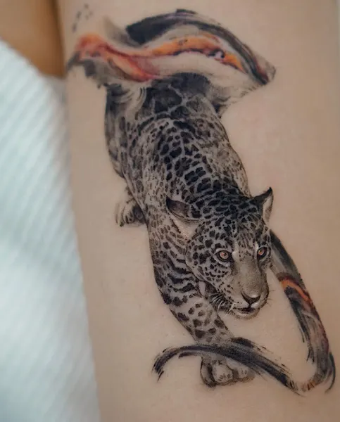 표범, 치타, 재규어, Animal