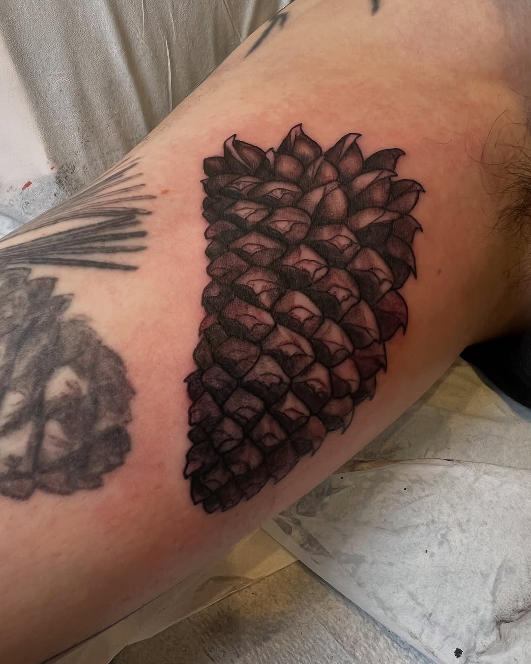 shawn_hebrank