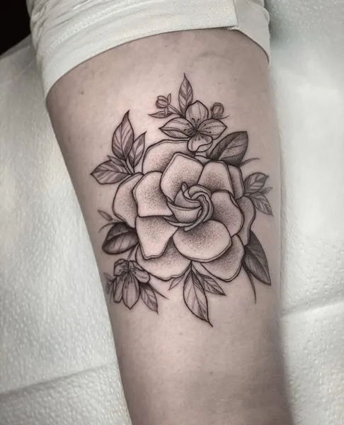 Flower, Rose