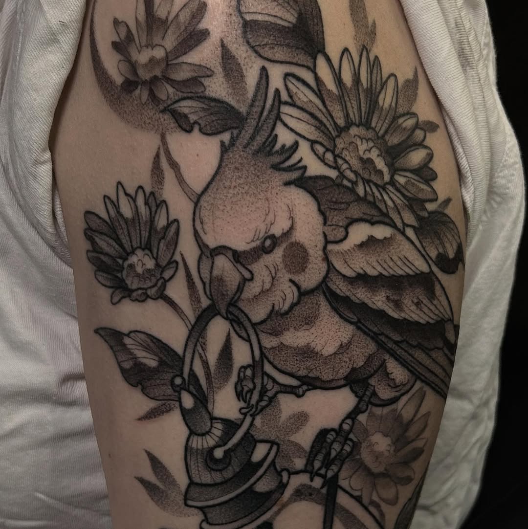 sarastigmata