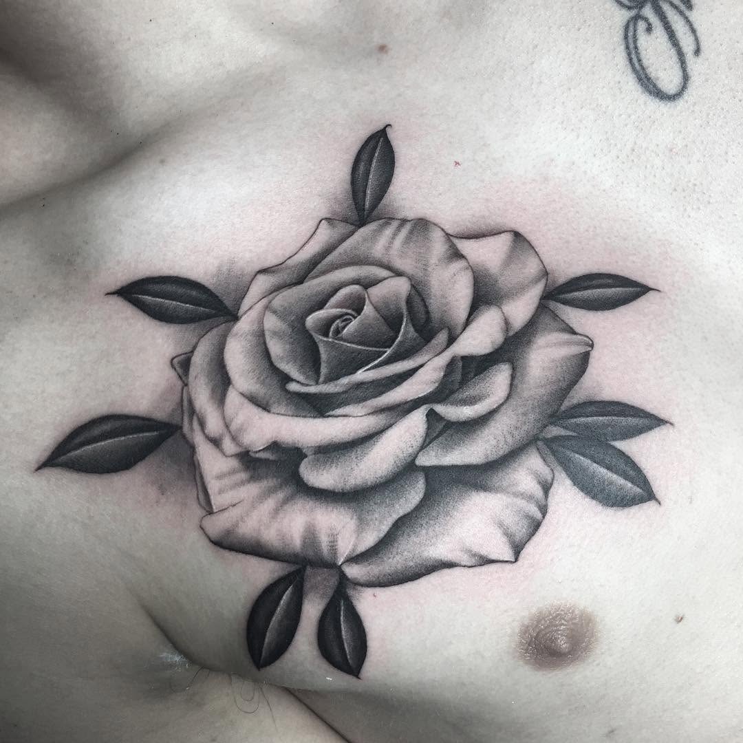 Flower, Rose, Nature