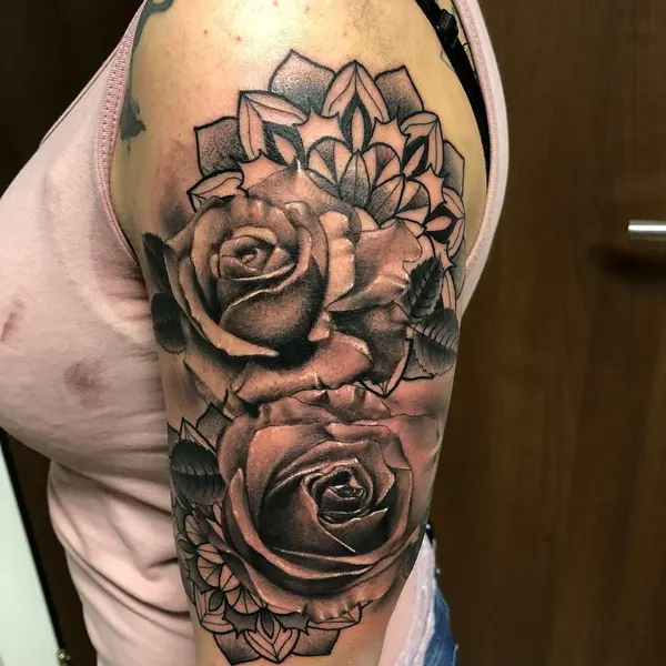 Flower, Rose, Nature