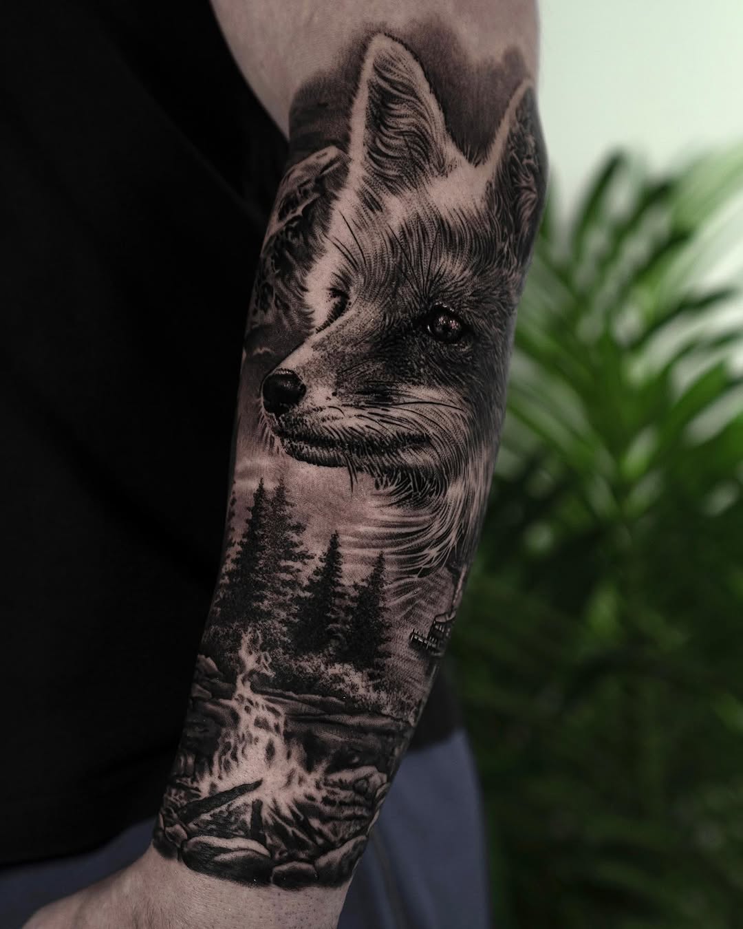 Animal