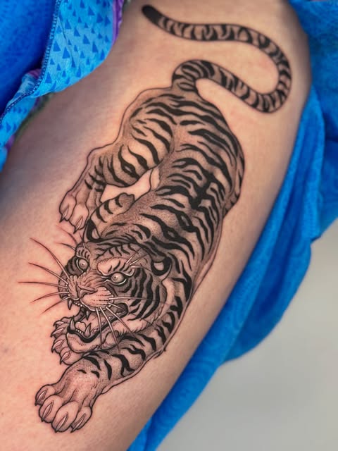 Tiger