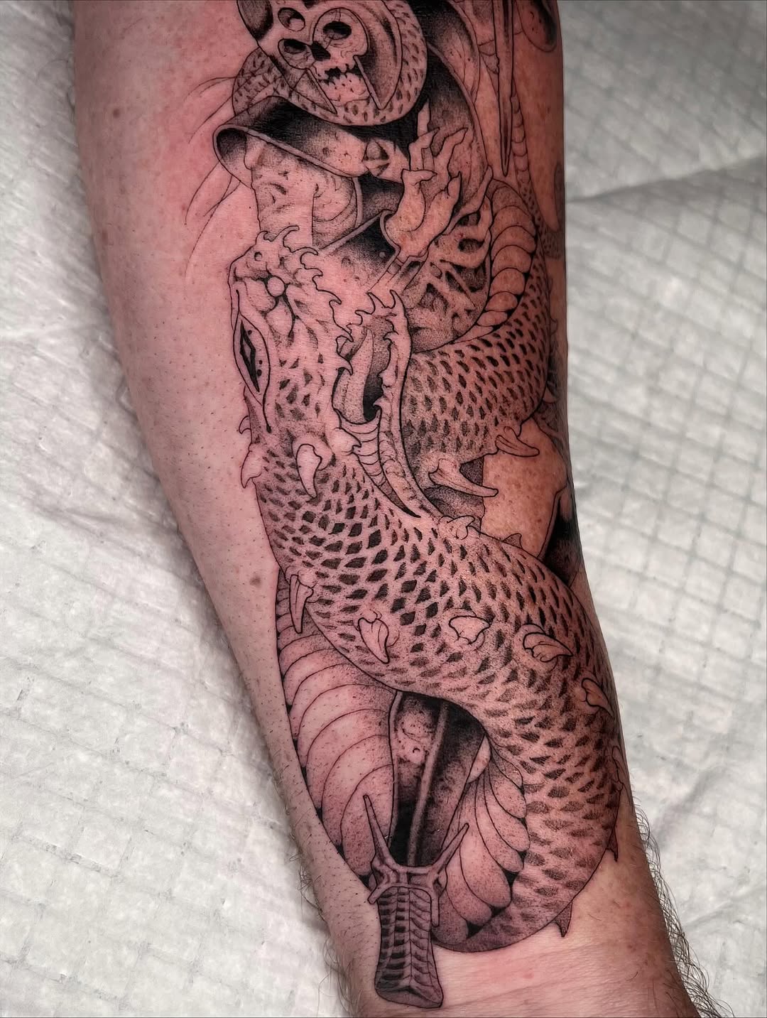 Dragon