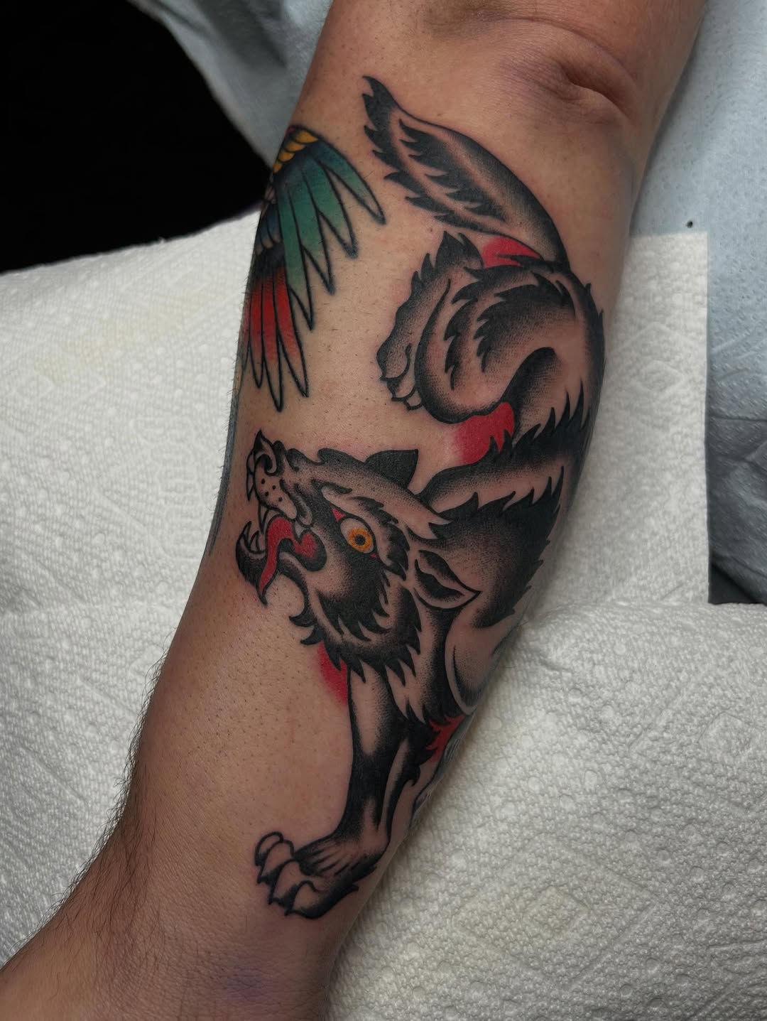 ellentattoos