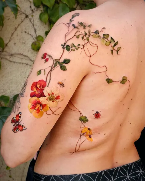 Flower, Nature, Rose