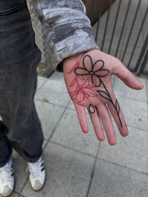 Flower, Rose