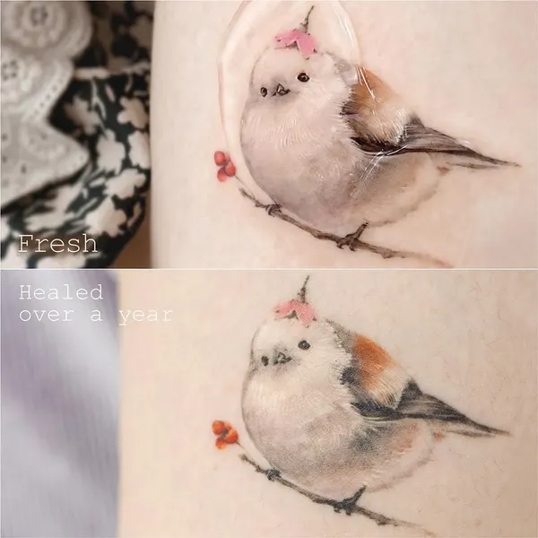 Animal, Flower