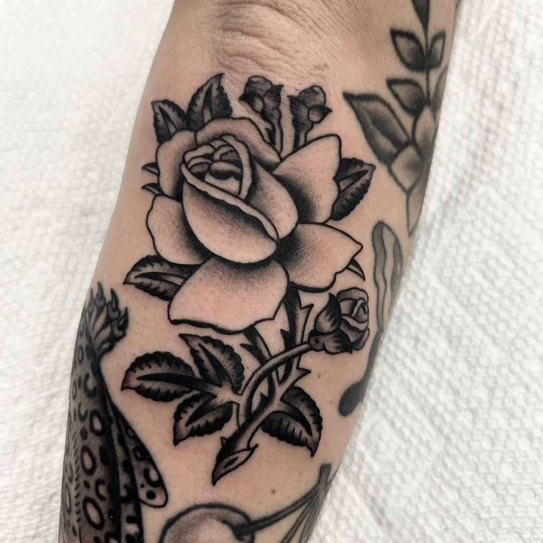 Flower, Rose