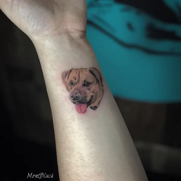 Animal