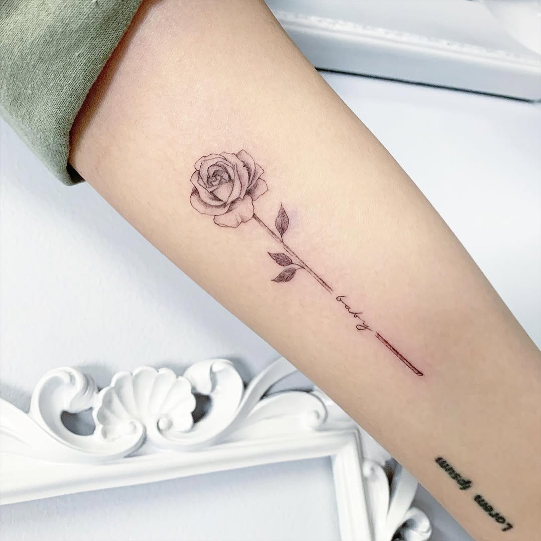 Flower, Rose
