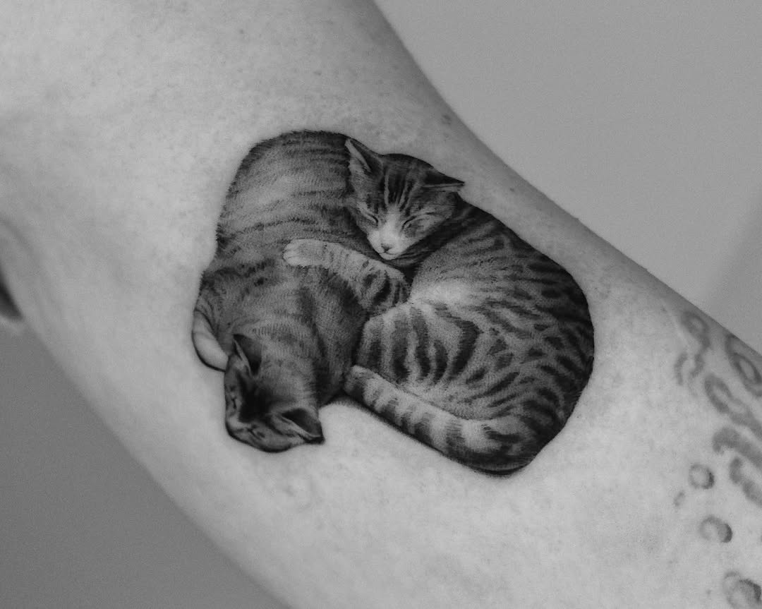 40.tatt
