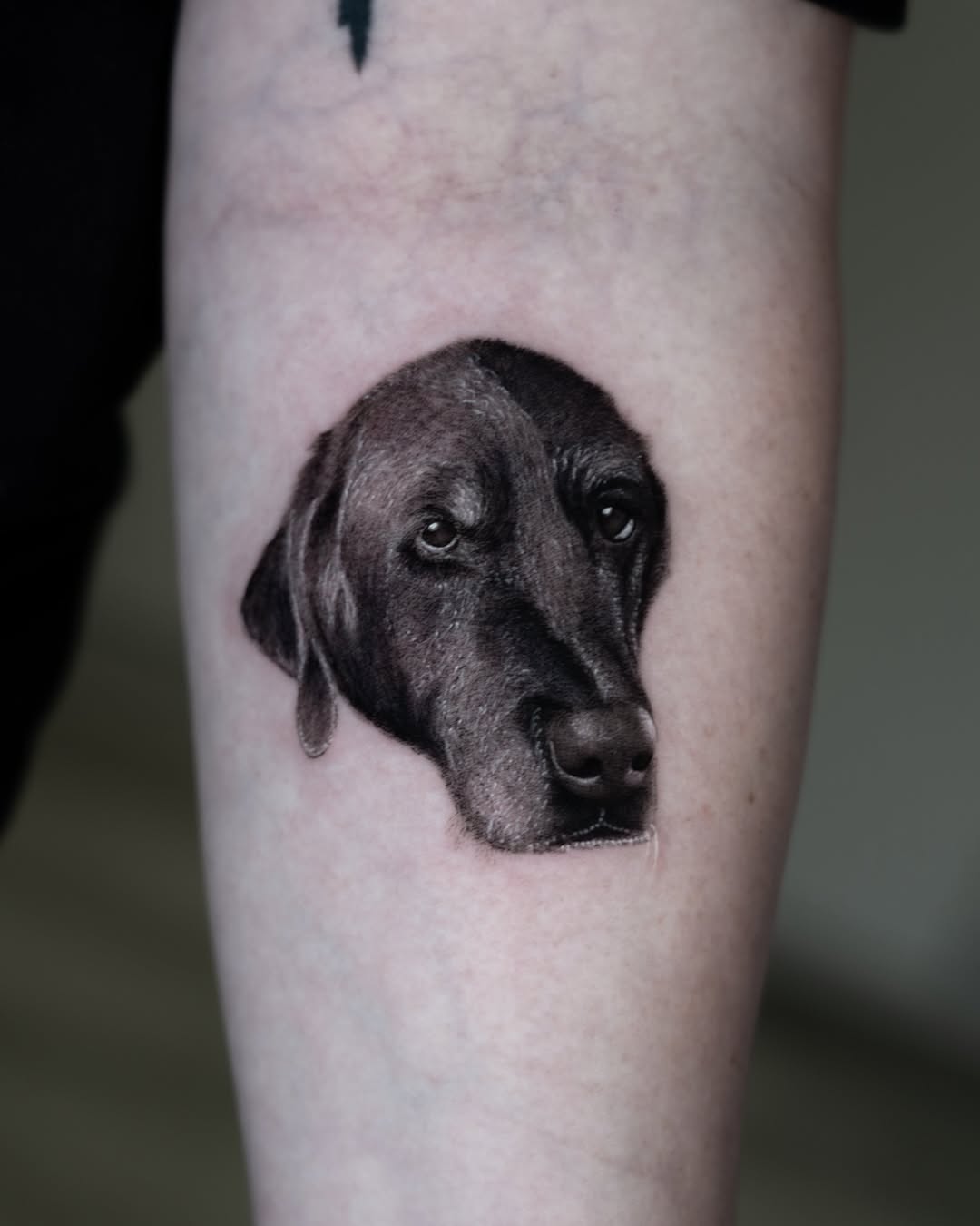 lewis.tattoo