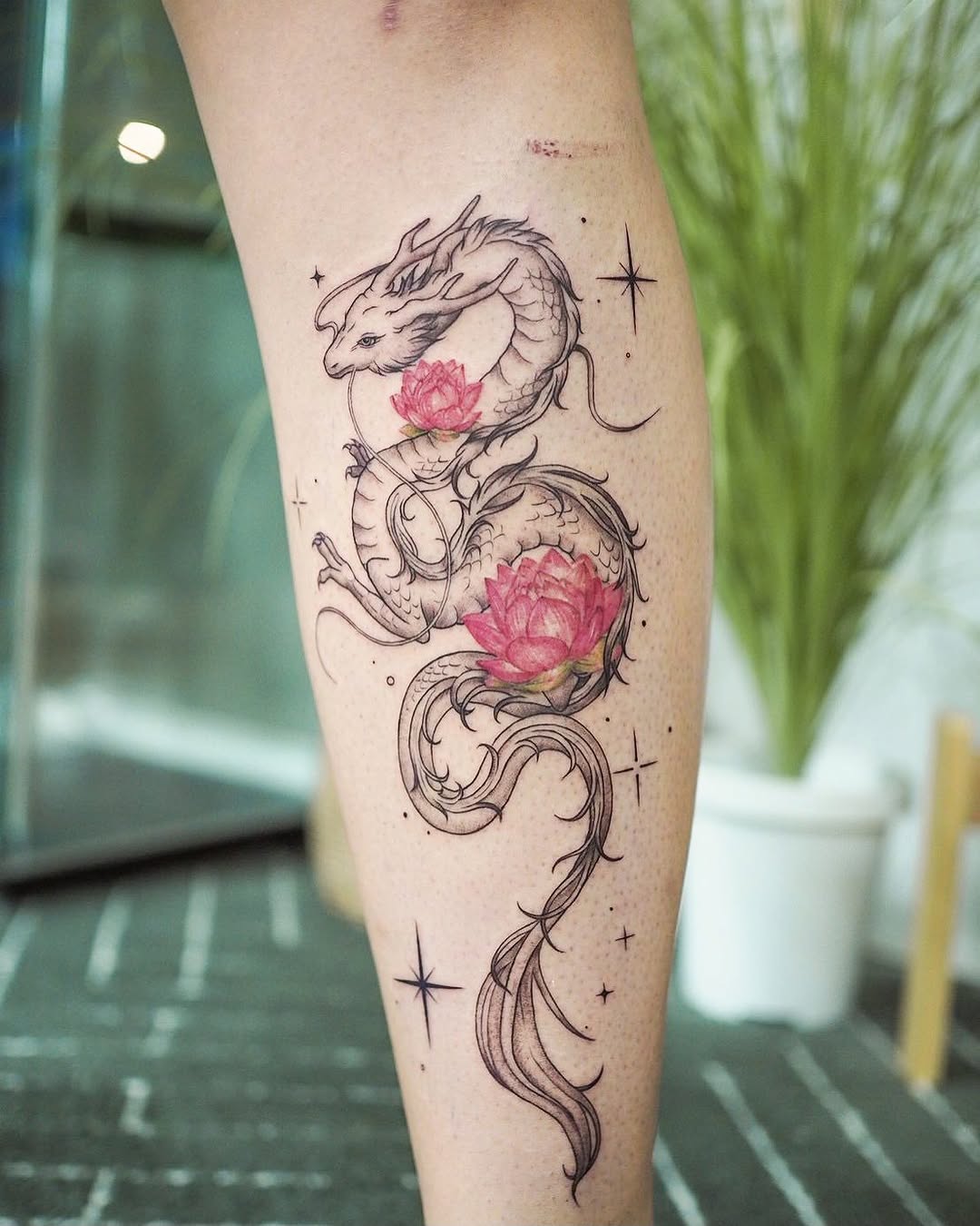 Dragon
