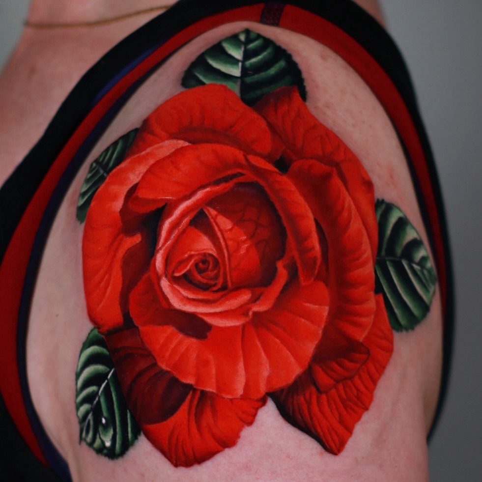 Flower, Rose, Nature