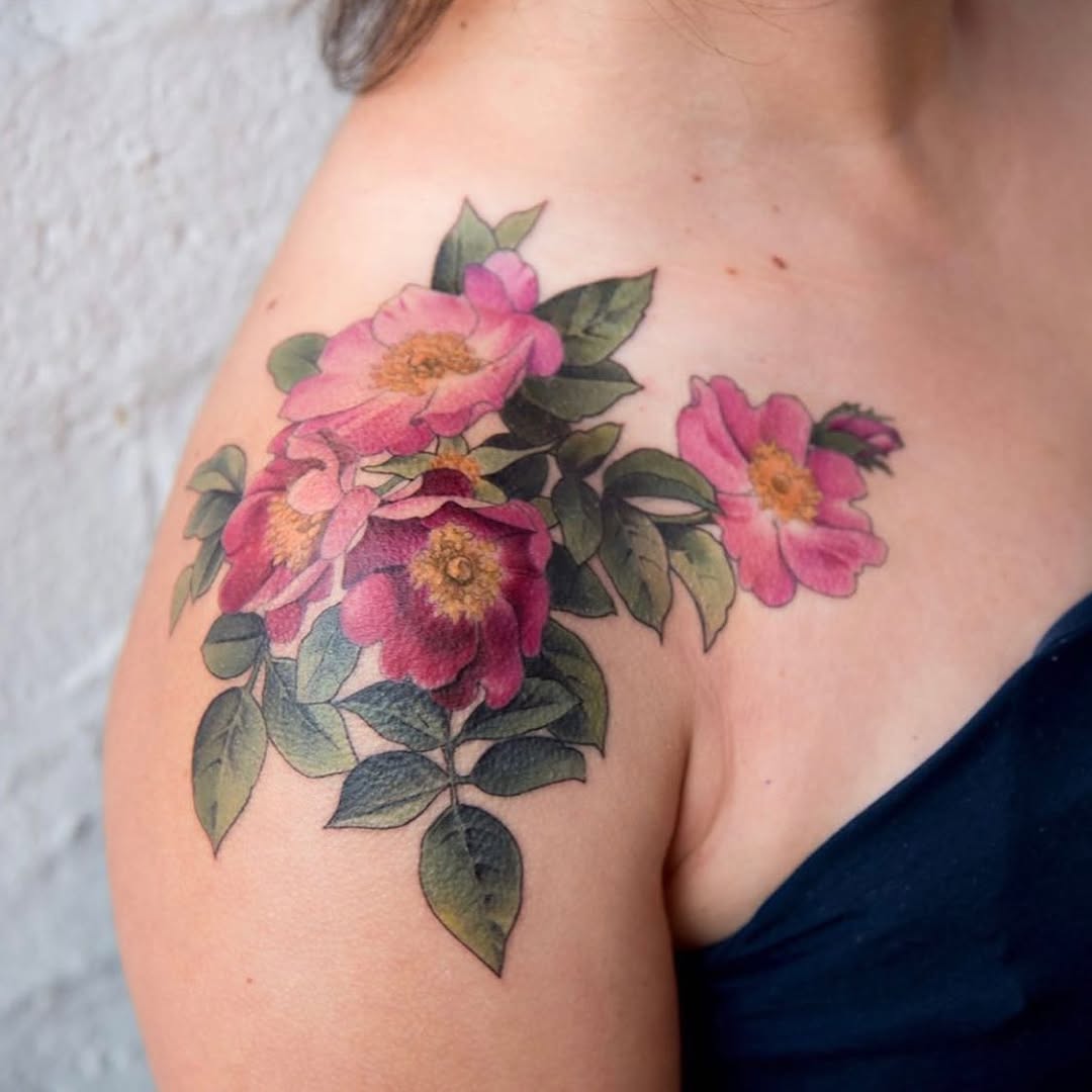 Flower, Rose, Nature