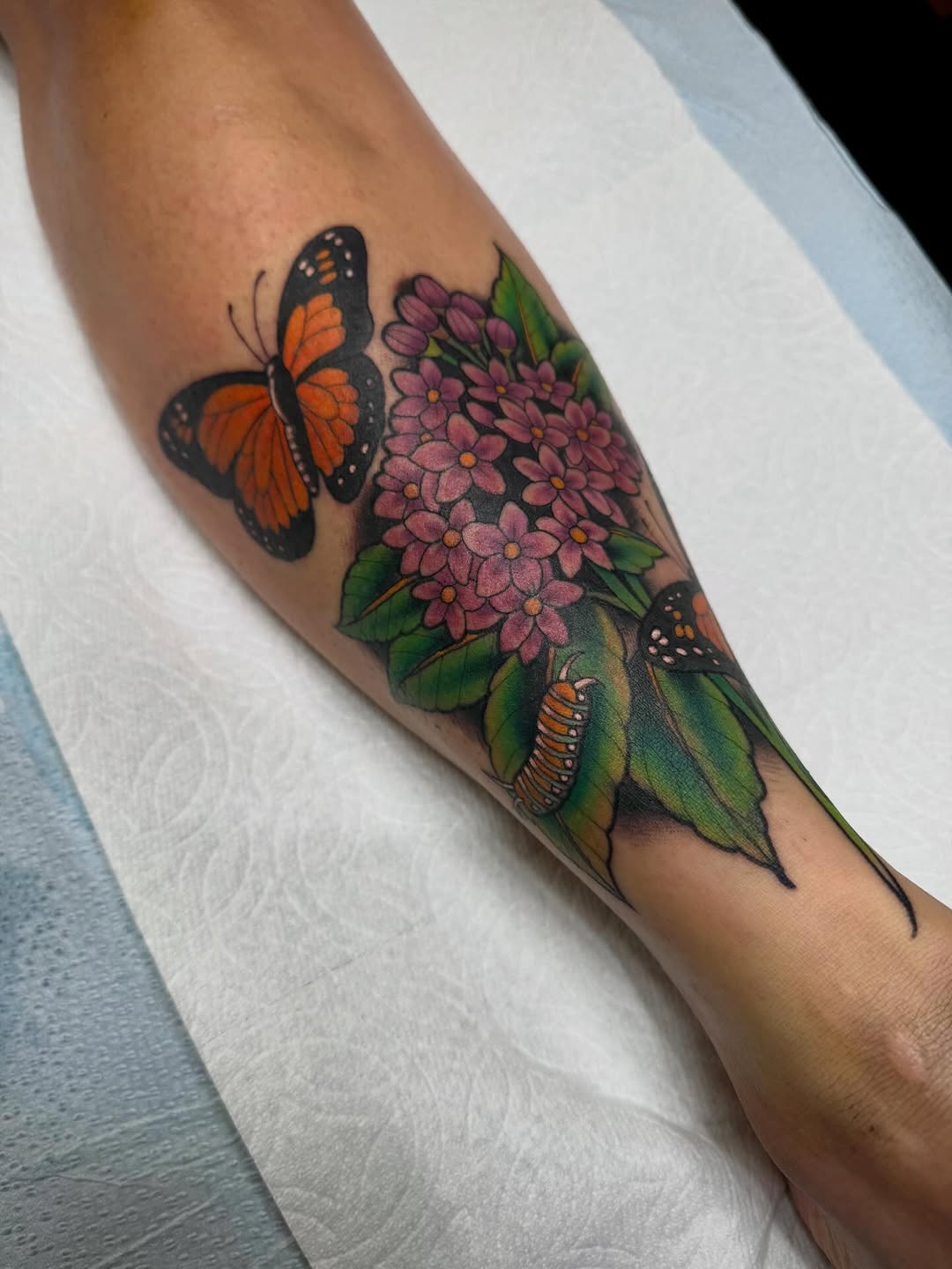 Flower, Animal, Nature
