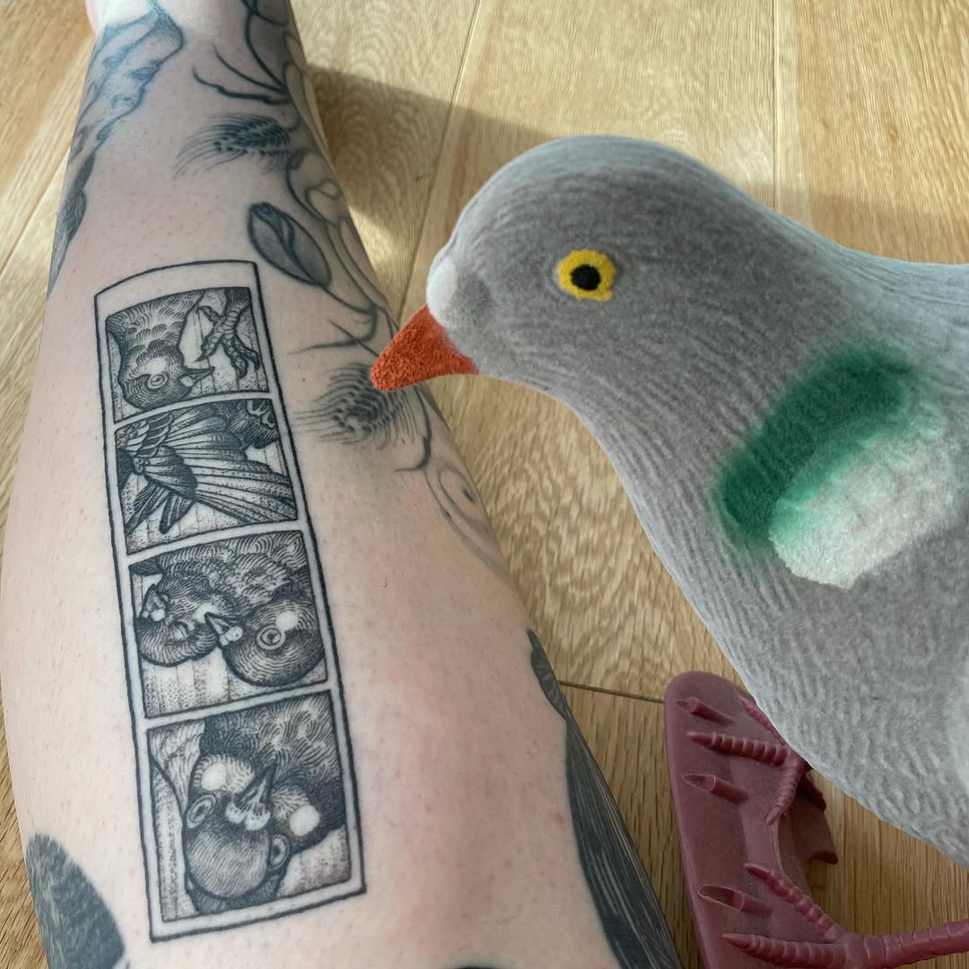 Animal