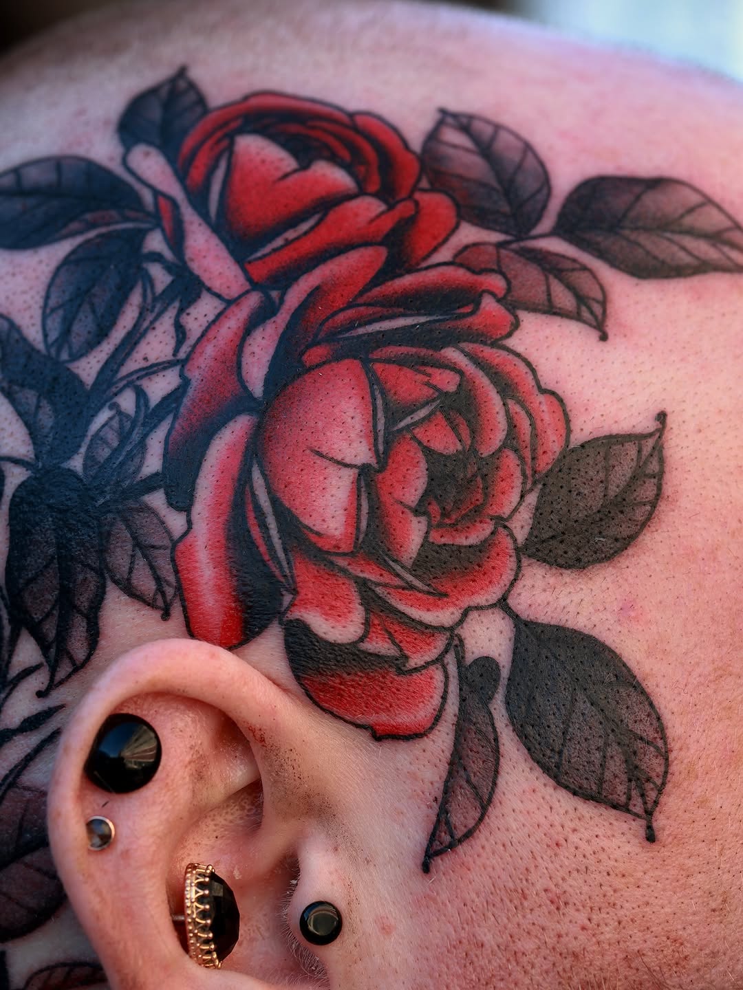 Rose, Flower