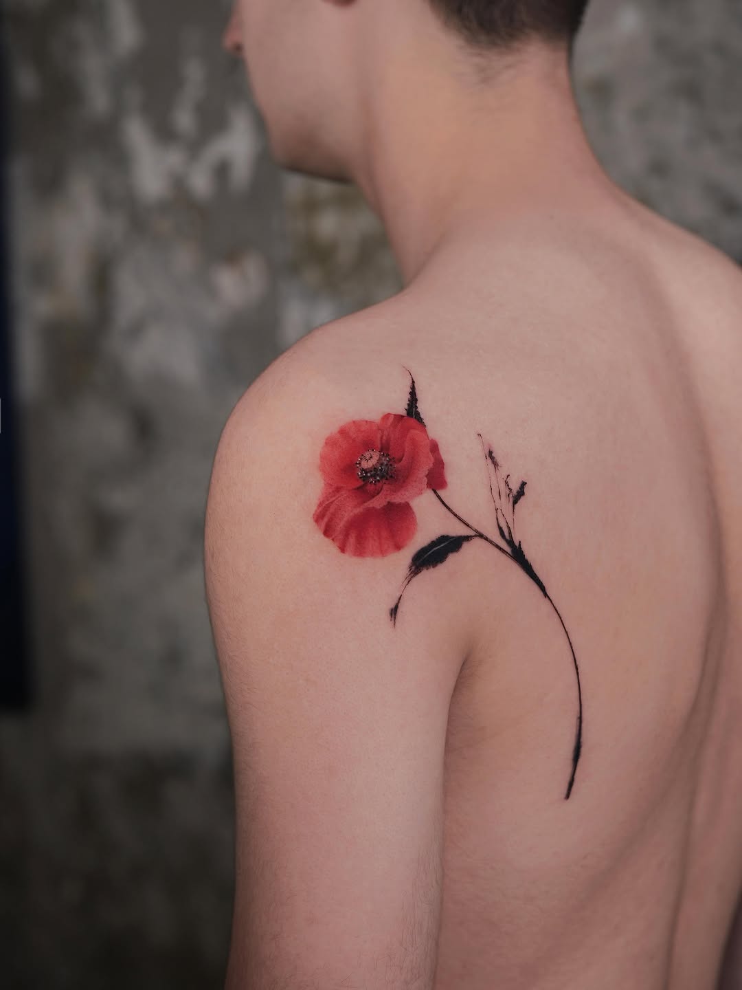 Flower, Rose, Nature