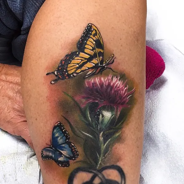 Flower, Animal, Nature