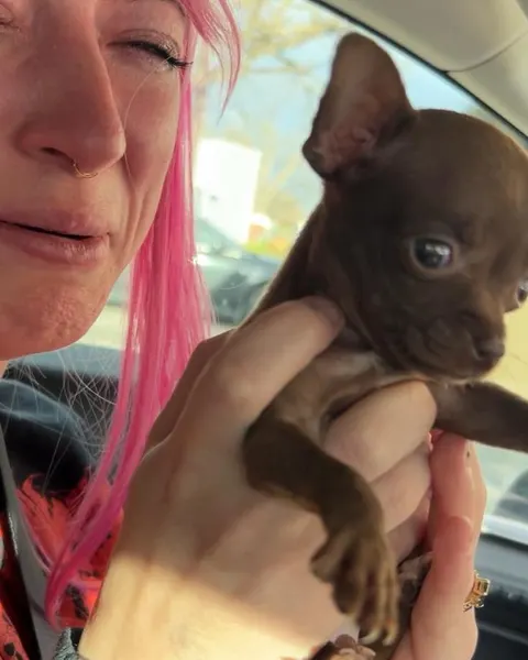 Christopher Jade