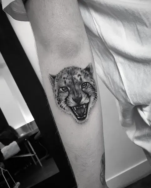 Tiger, Animal