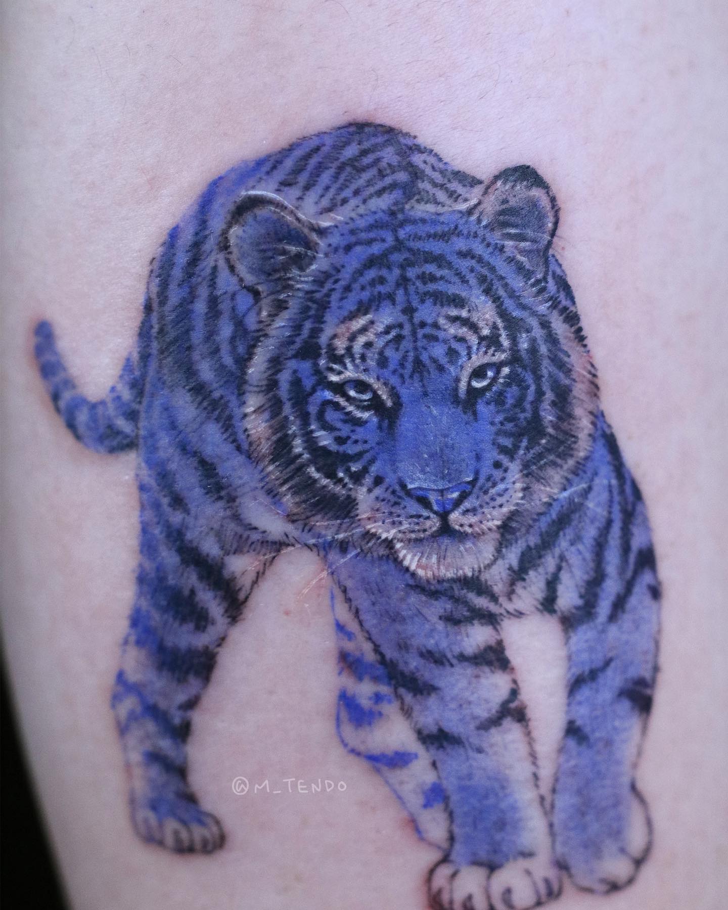 Tiger