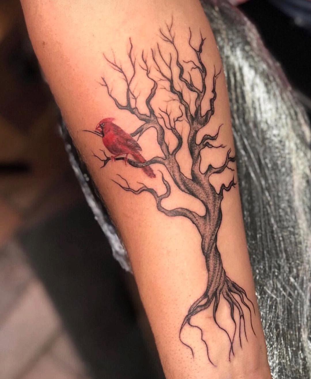 Flower, Animal, Nature