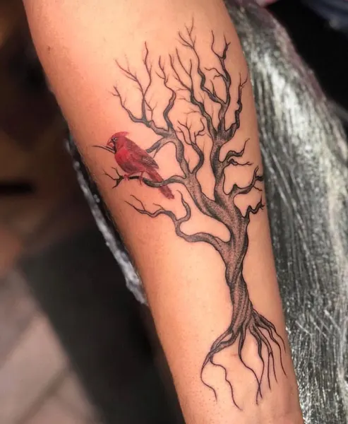 Nature, Flower, Animal