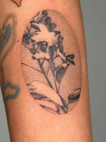 Flower, Rose