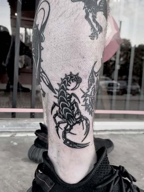 Tiger, Animal