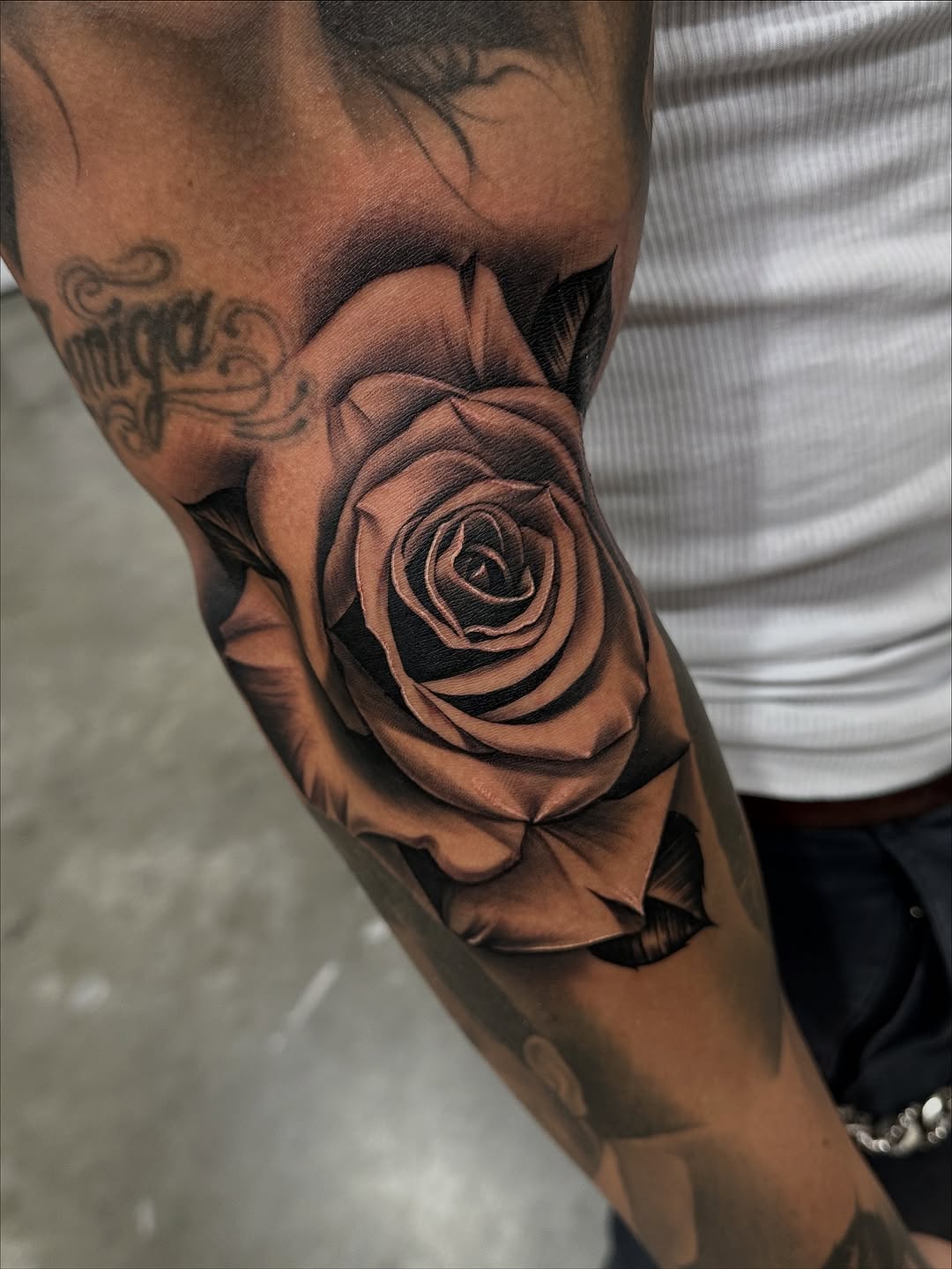 Flower, Rose