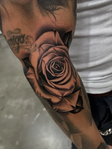 Flower, Rose