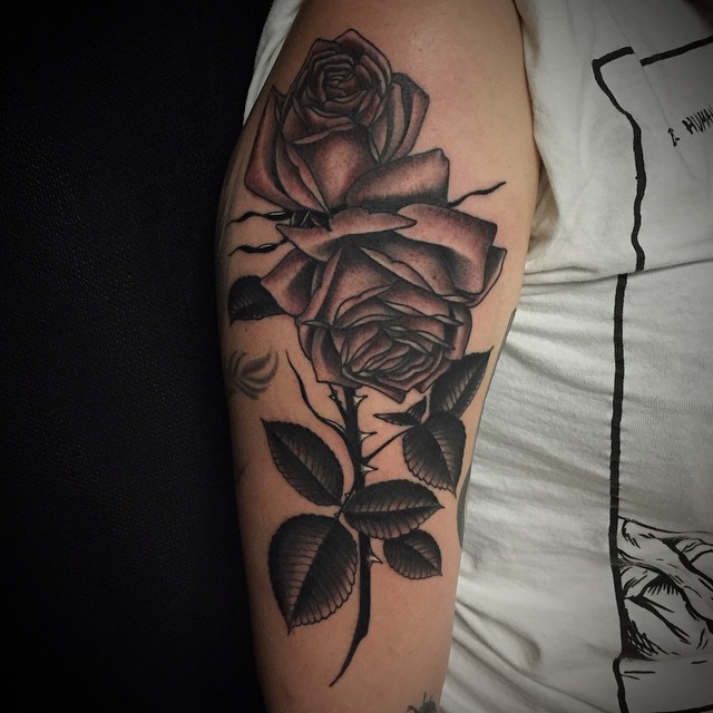 Flower, Rose, Nature