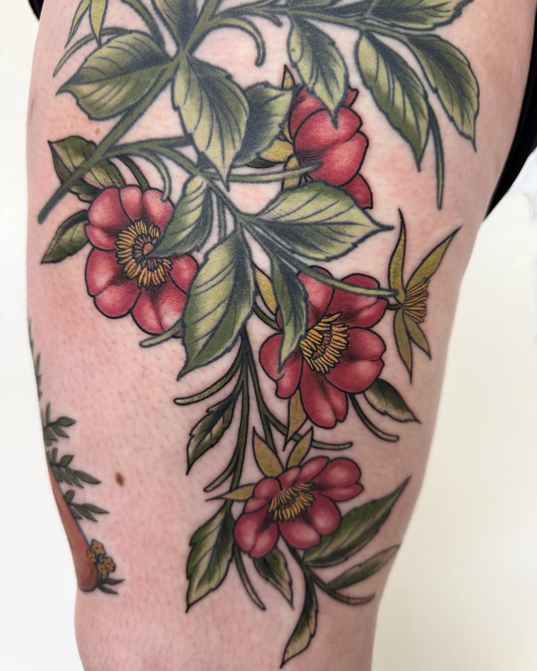 Flower, Rose