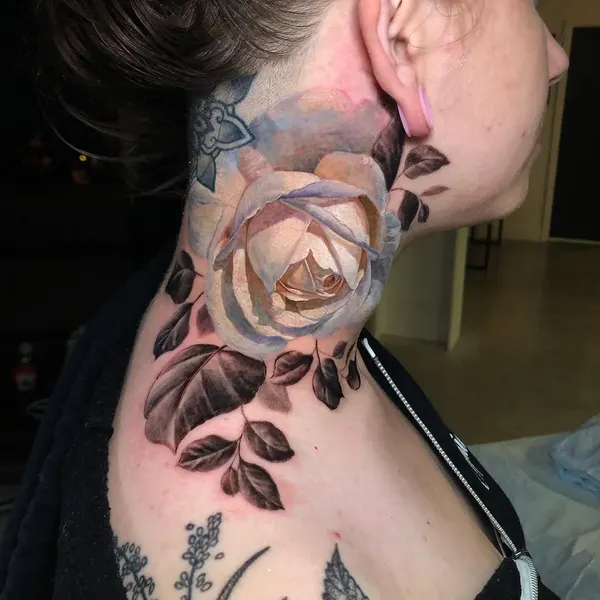 Flower, Rose, Nature
