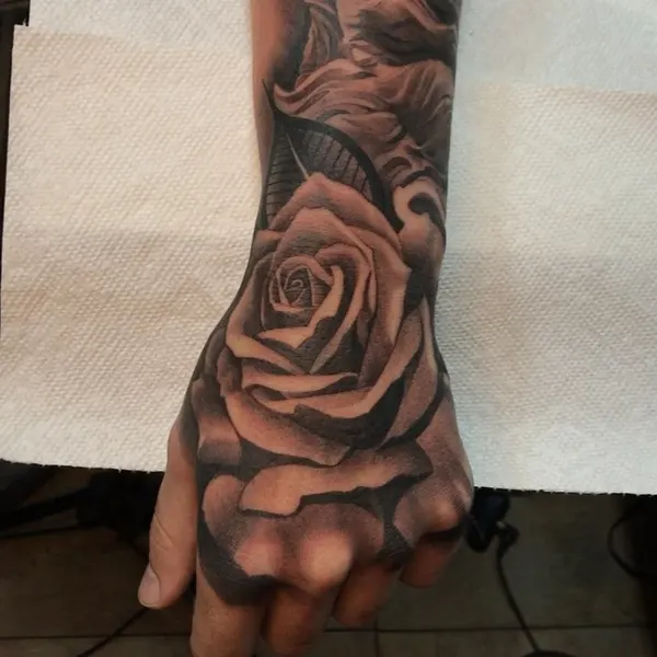 Flower, Rose