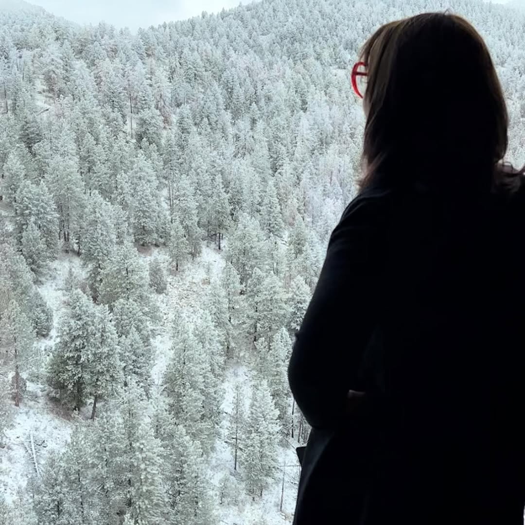 sarastigmata