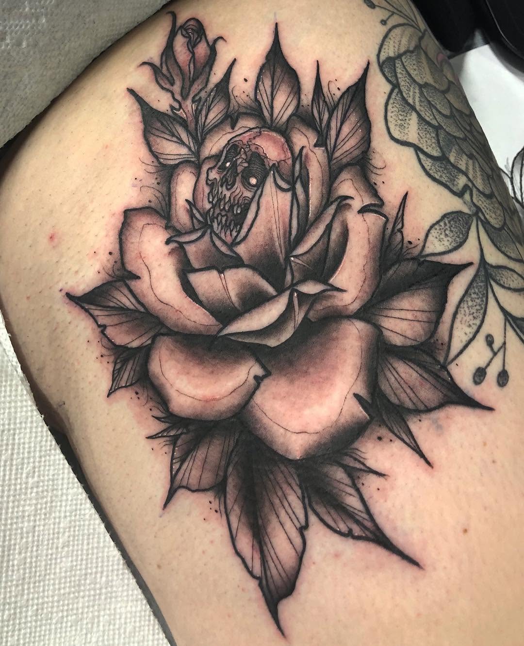 Flower, Rose