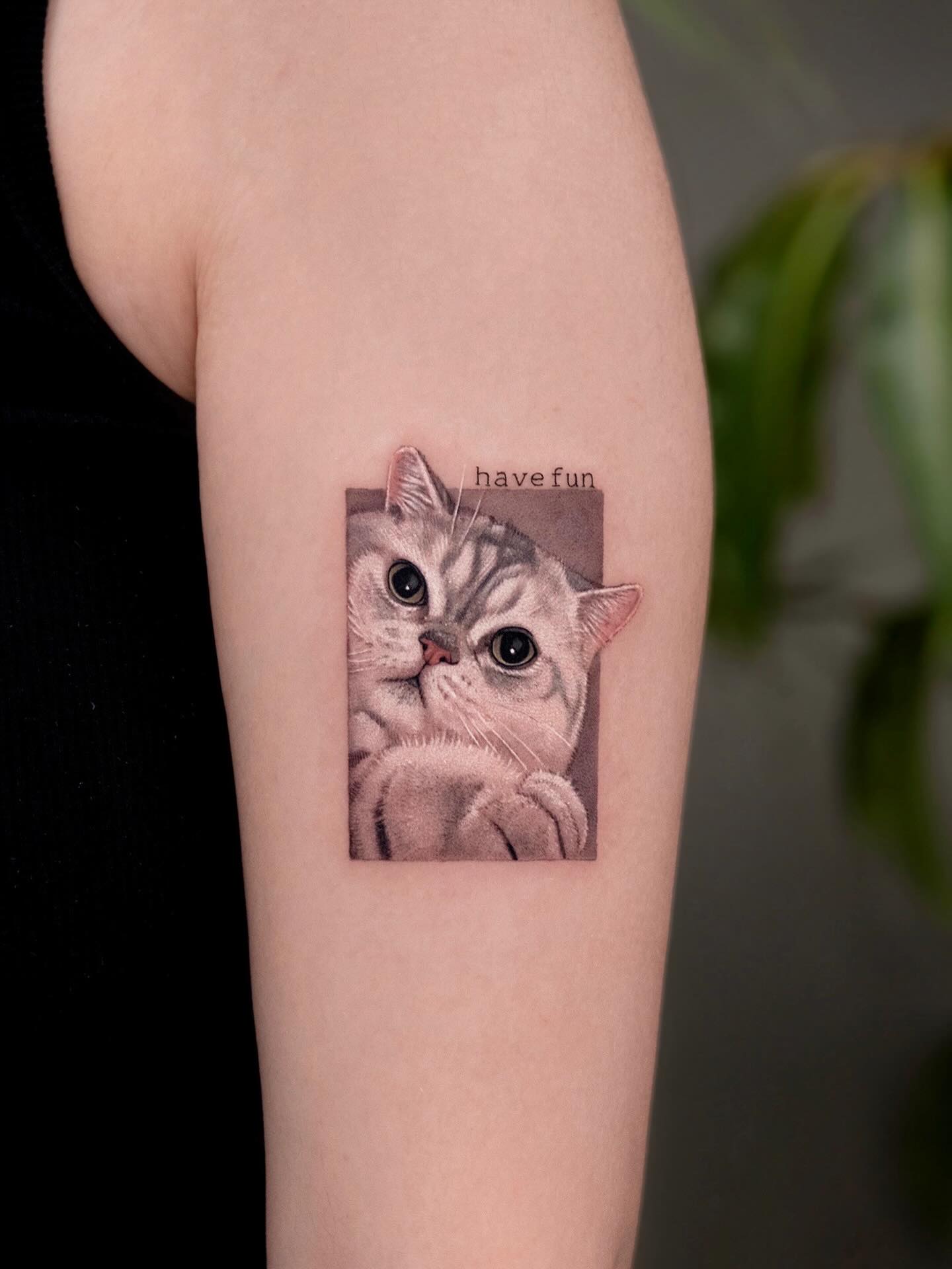 고양이