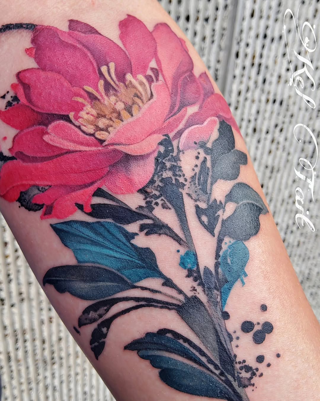 Flower, Rose